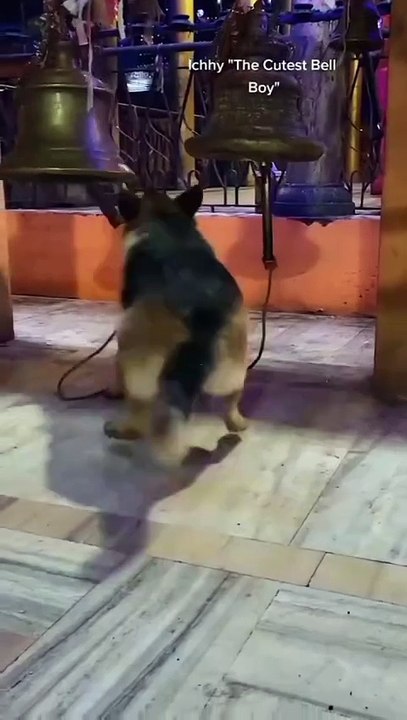 Found a new toy 😂