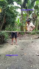 Body cutting editing effect