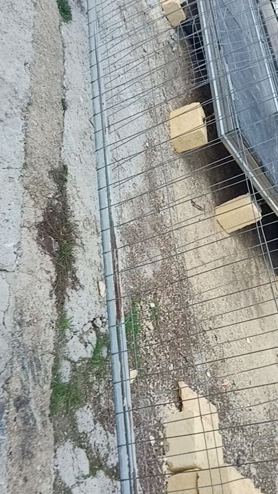 Ecco il mio ultimo video