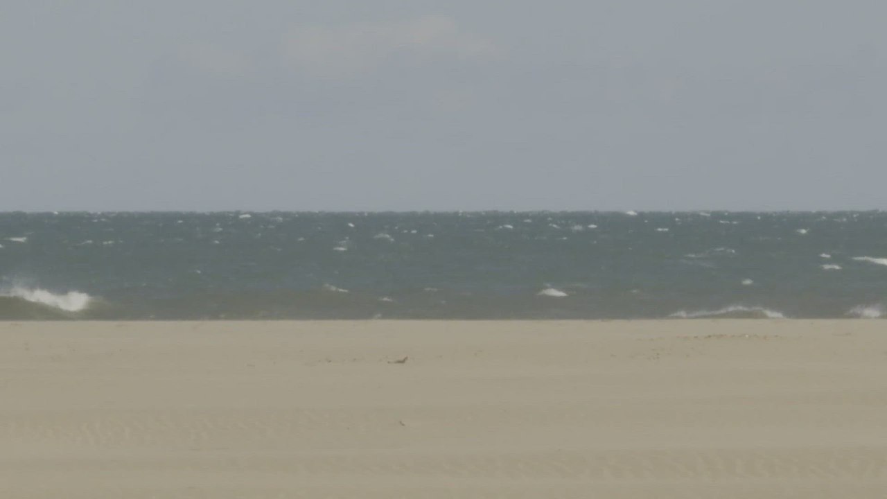 Emergencias decreta alerta por viento en la Comunitat Valenciana