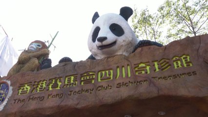 Giant panda pair gifted to HKSAR makes public debut