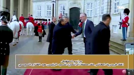 ملخص زيارة السيد الرئيس عبد الفتاح السيسي للدنمارك