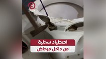 اصطياد سحلية من داخل مرحاض