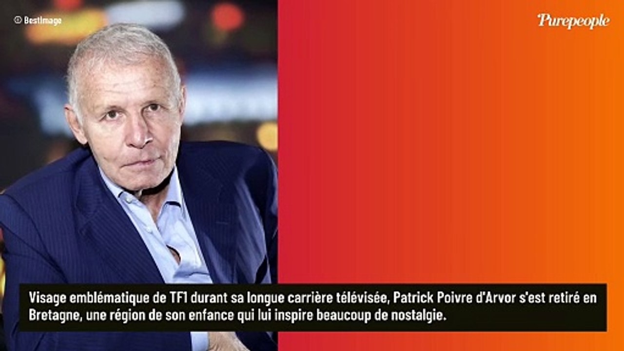 Patrick Poivre d'Arvor reclus dans une cabane "nichée à 13 mètres au-dessus du sol" en Bretagne : "Je suis entouré par les oiseaux"