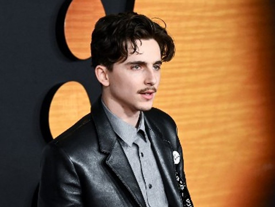 Timothée Chalamet zollt Bob Dylan Tribut auf dem roten Teppich