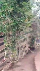 Casas doadas por empresários de Pomerode devolvem alegria a vítimas de cheias no RS