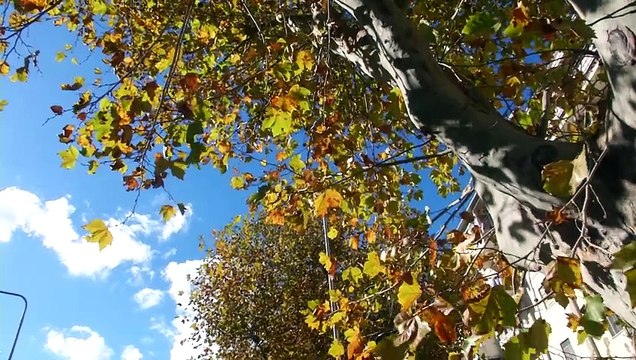 Un volto nuovo e green per villaggio Aldisio