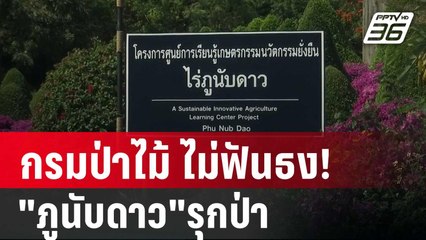 กรมป่าไม้ ไม่ฟันธง!"ภูนับดาว"รุกป่า โยน ส.ป.ก.ดู | เข้มข่าวค่ำ | 11 ธ.ค. 67