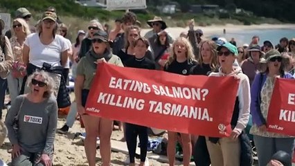 Protestors oppose salmon farms despite Dutton’s firm stance