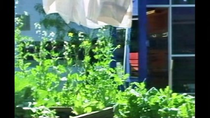 127-Big Brother Australia Season 03, Day 82,Daily Show, Thursday, 17 July 2003