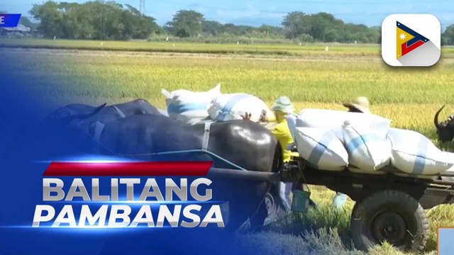 Amyenda sa Agricultural Tariffication Act of 1996, inaasahang lalagdaan ni PBBM