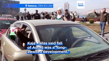 Fall of Bashar al-Assad after 20 years in power in Syria: how the world reacted