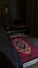 قران كريم صوت جميل يبكى