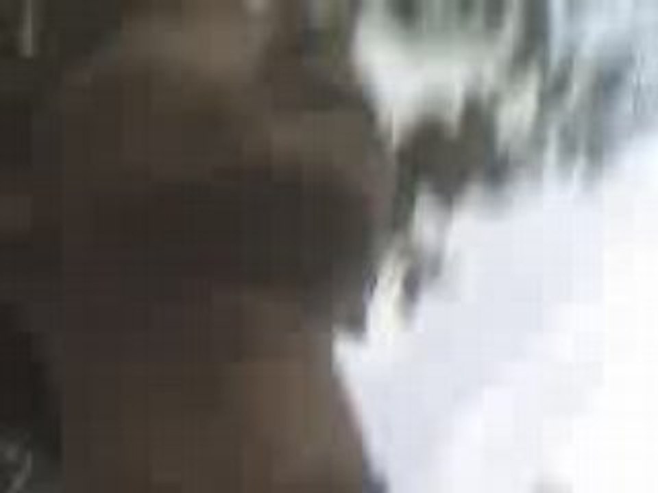 Bftrip