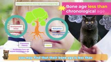 【Decoding Child Health Growth 5】 The Relationship Between Bone Age and Chronological Age