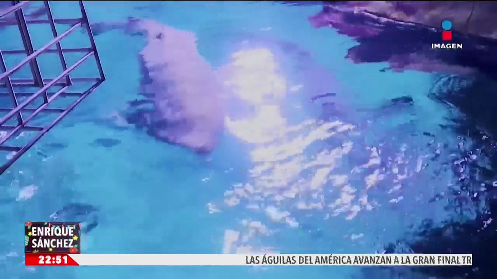 Santa Claus alimenta a tiburones en Hungría