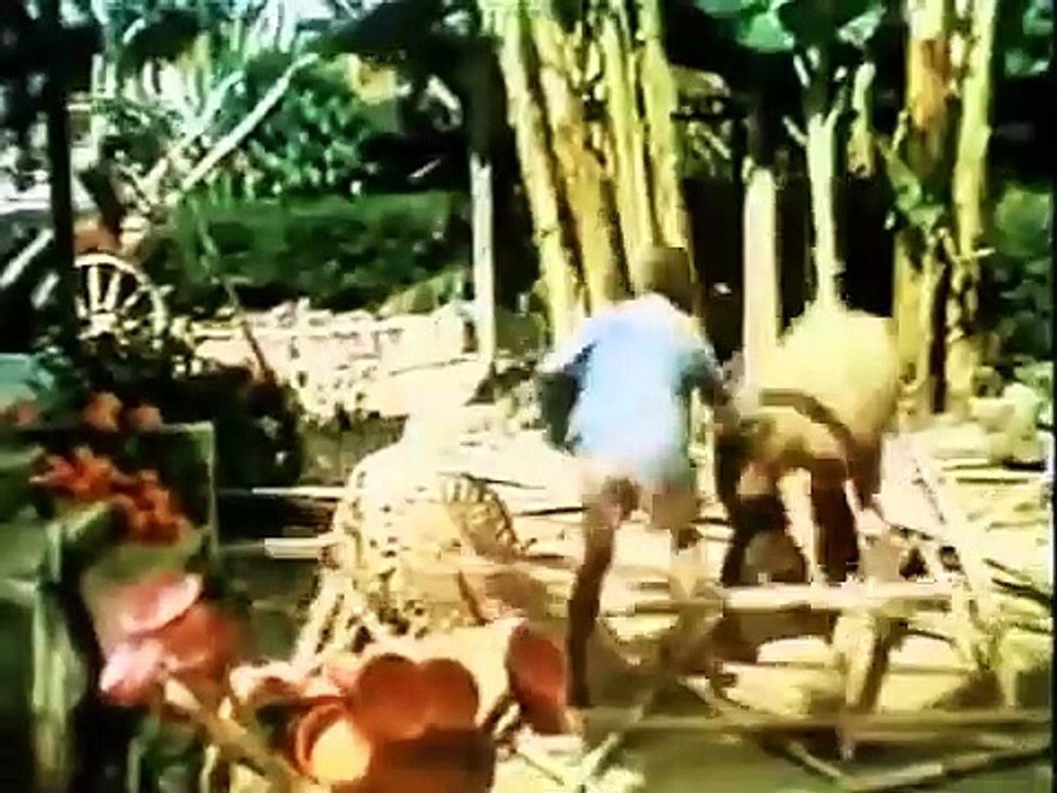 dukun