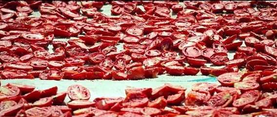 Hemme'nin Öldüğü Günlerden Biri Fragman