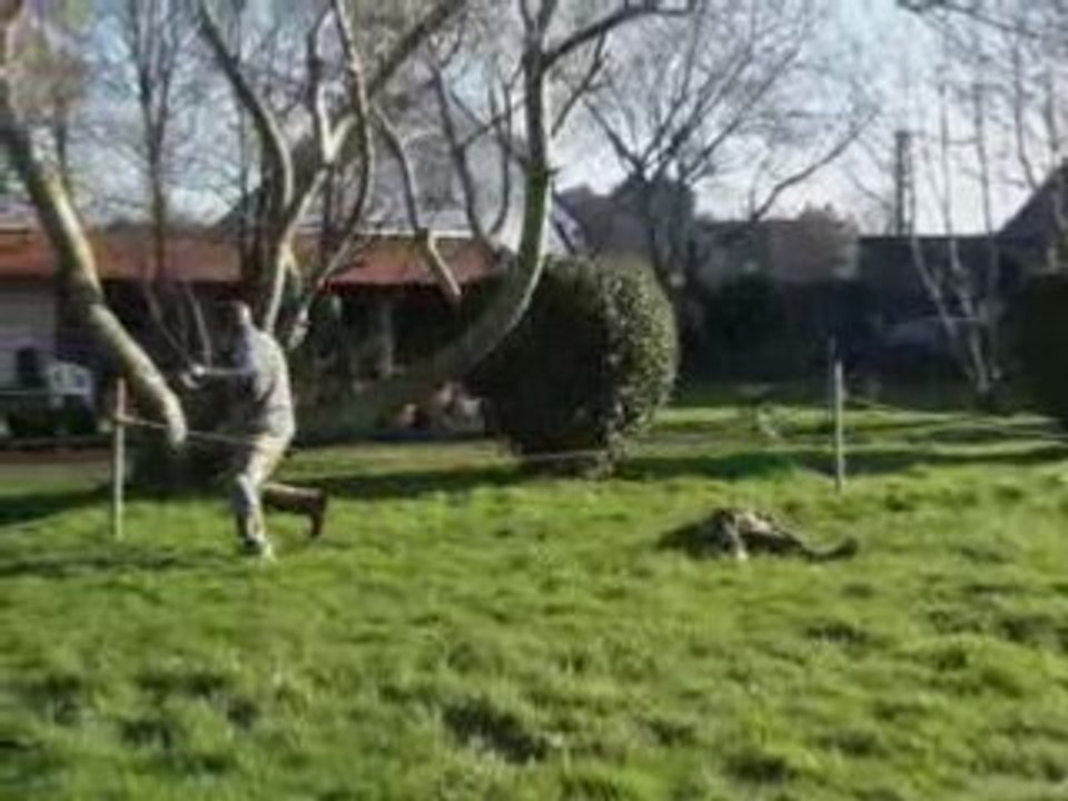 Reconstitutions  dimanche 10 février 2008