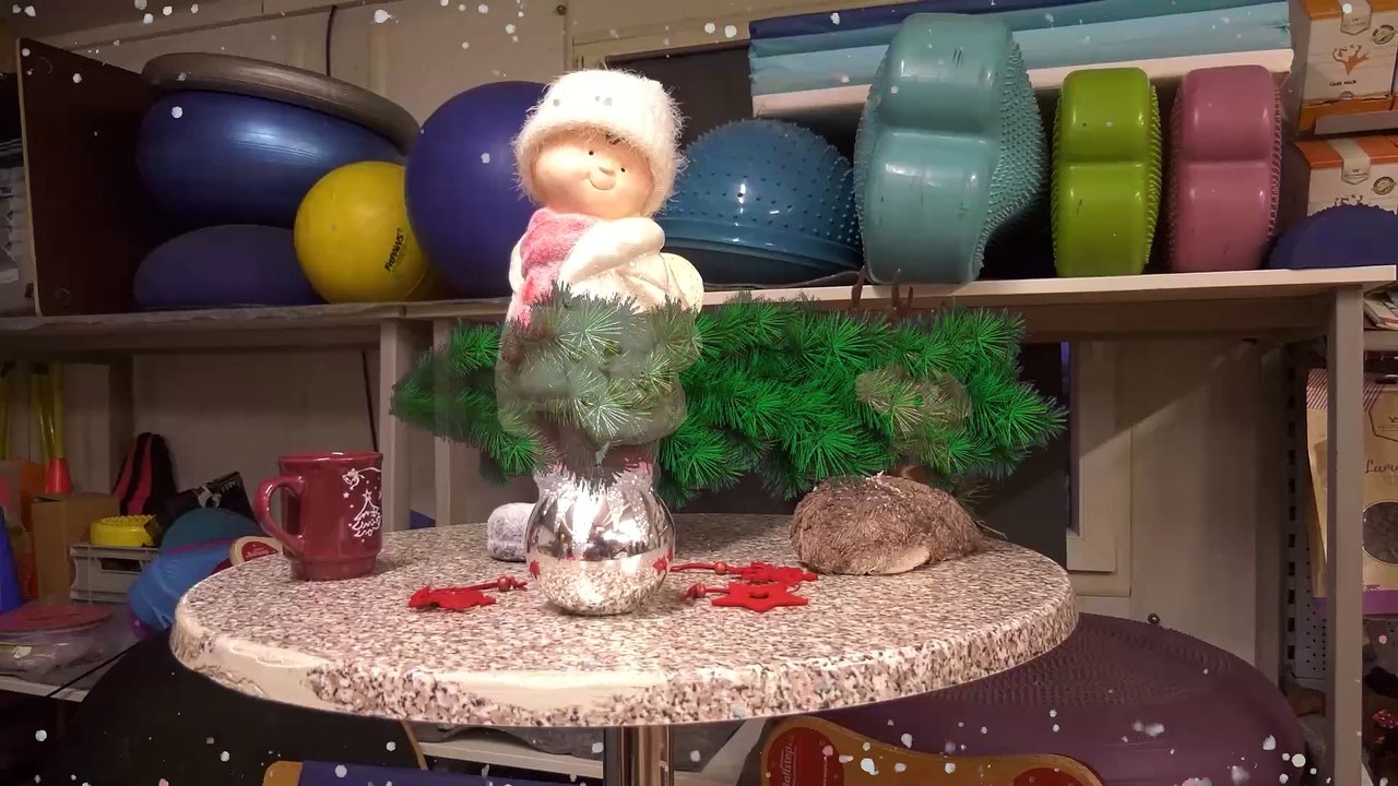 Advent im Wiener Hundekompetenzzentrum