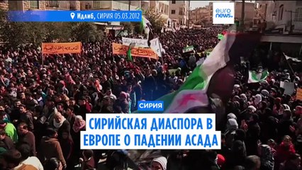 Сирийцы за рубежом: "Мы очень счастливы"