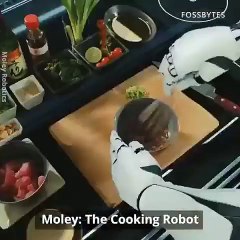 Moley - The world's first fully robotic kitchen. Video Dailymotion