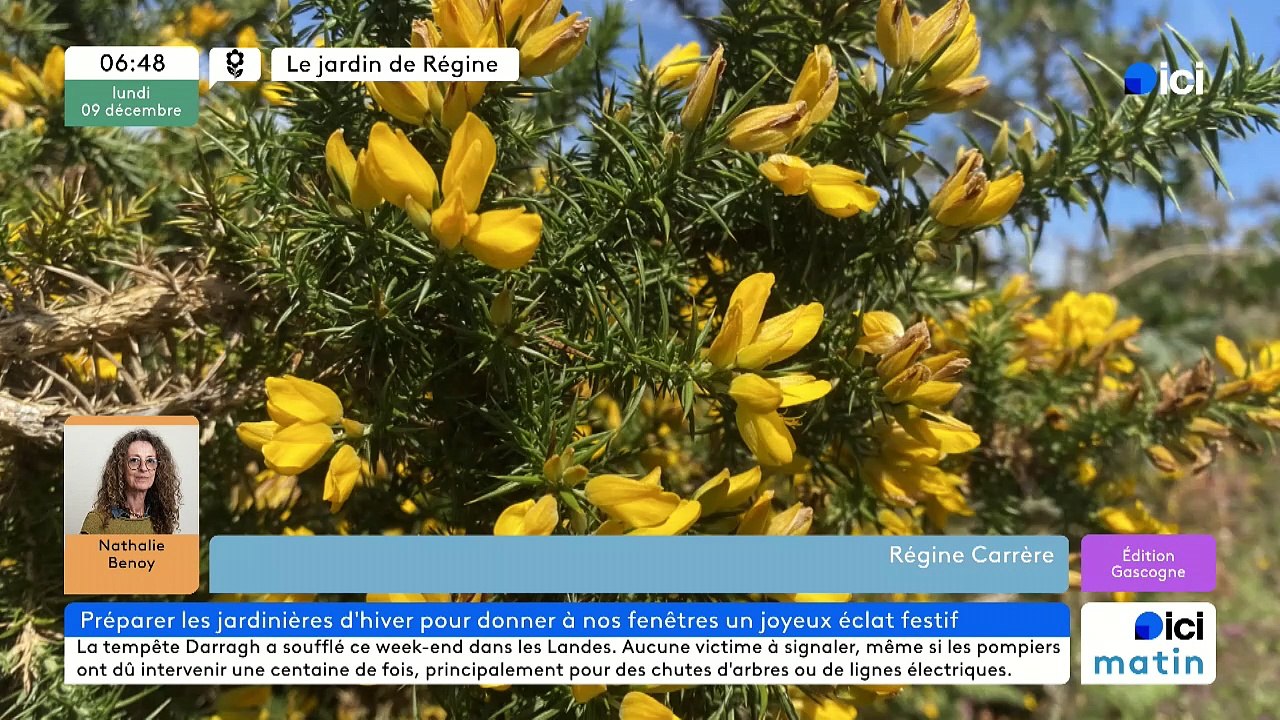 09/12/2024 - ICI Matin France Bleu Gascogne en vidéo