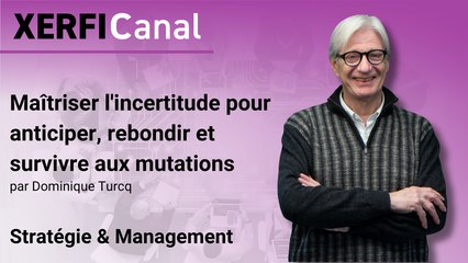 Maîtriser l'incertitude pour anticiper, rebondir et survivre aux mutations [Dominique Turcq]