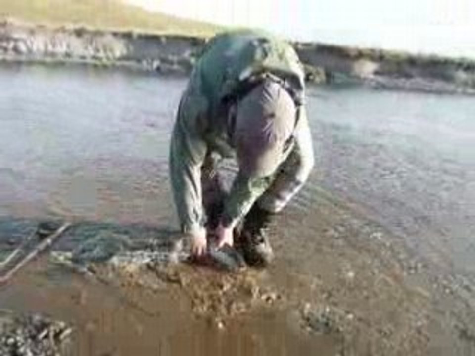 Miguel's sea trout in the Menendez
