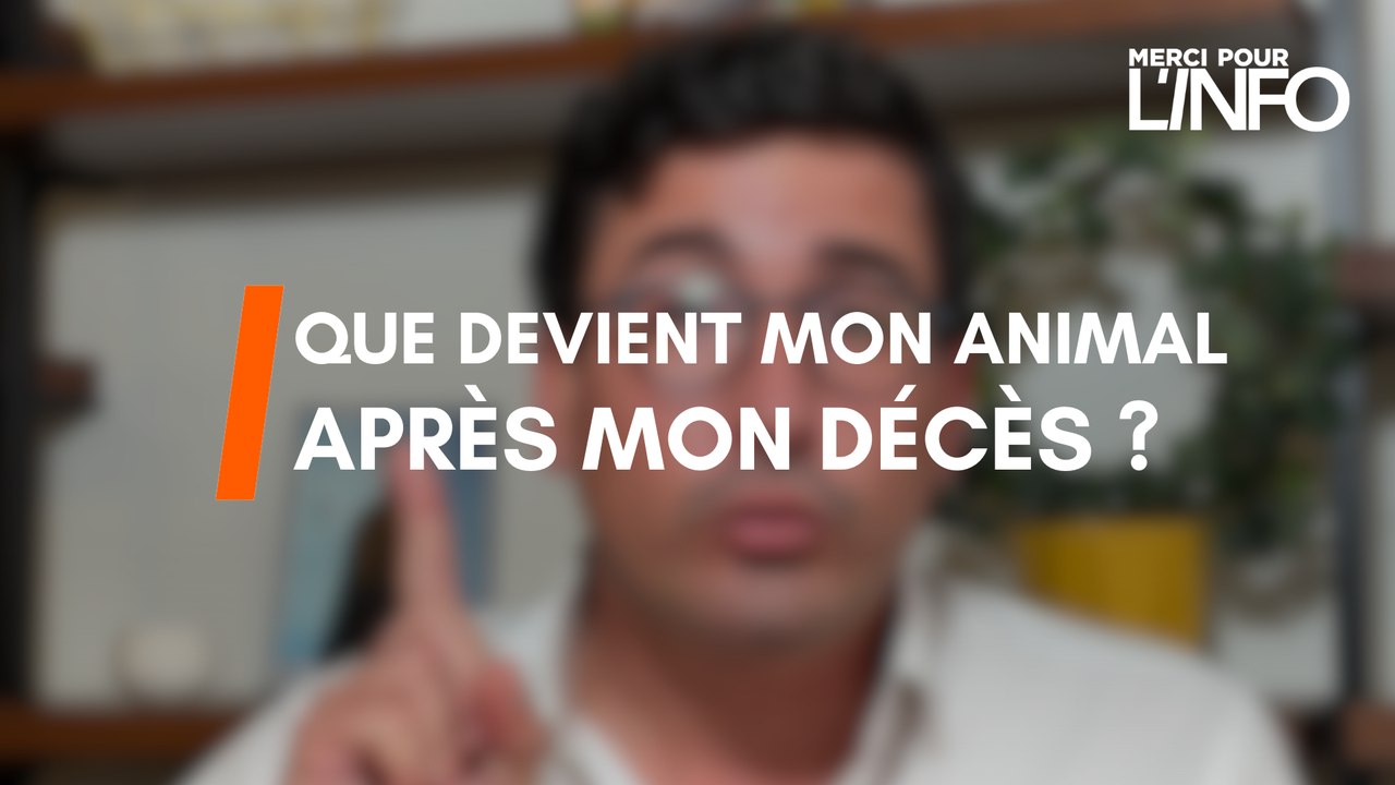 Merci Mathieu - Que devient mon animal à mon décès ?