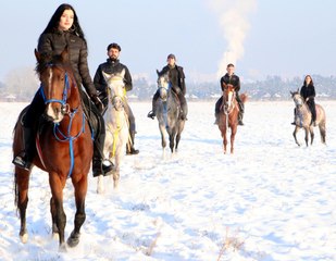 Erzurum'da unutulmaz kış deneyimi! Beyaz örtüde 'atlı safari'