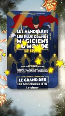 LES BONS CADEAUX DE NOËLS