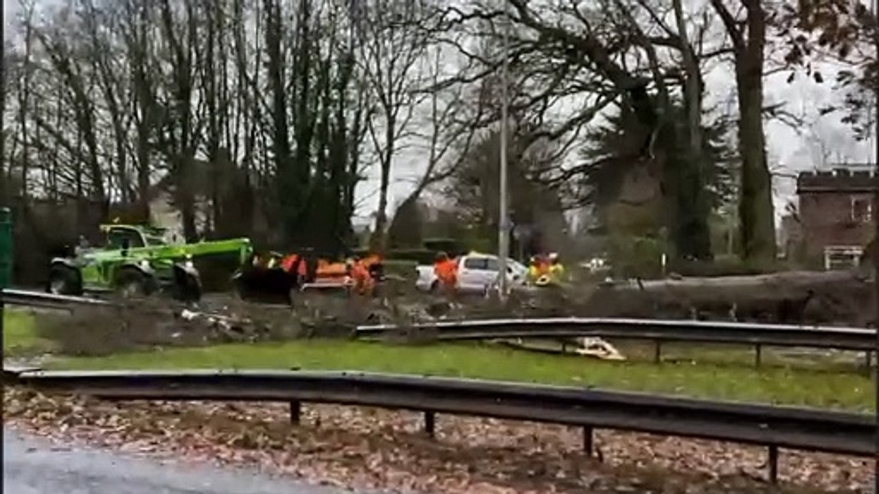 Storm Darragh: Falling tree kills van driver on...