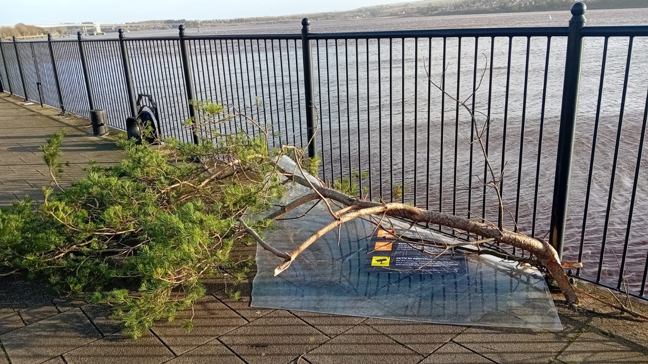 Storm Darragh: Trees felled, travel disrupted, buildings and structures damaged in Derry and Donegal