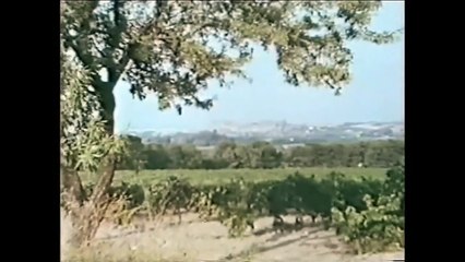 Henry Lincoln's 'The Lost Treasure of Jerusalem' (1971) 📜 – Revealing Hidden Secrets of the Holy Land