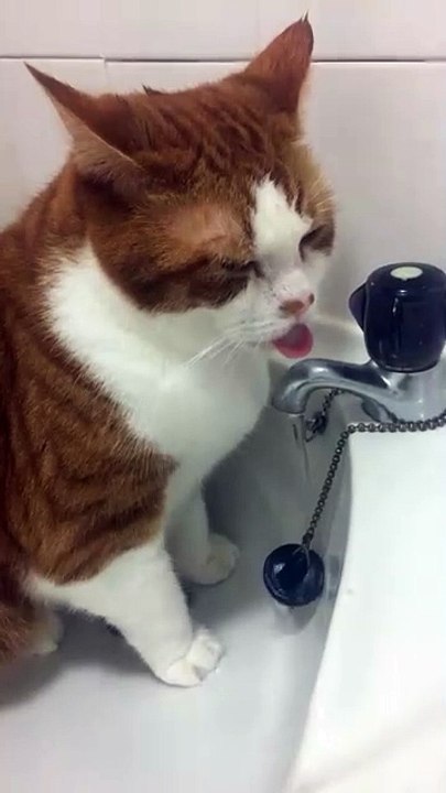Drink via bluetooth