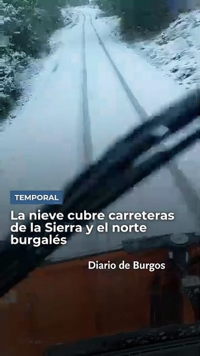 Nieve