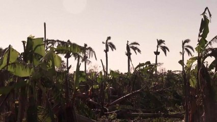 올해도 '가장 뜨거운 해'...'1.5℃ 방어선' 붕괴 / YTN