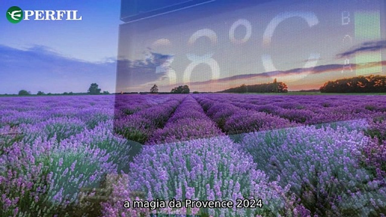 "Explorando Provence em 2024: Lavandas, Medievais e Diversão Aquática Perto de São Paulo"