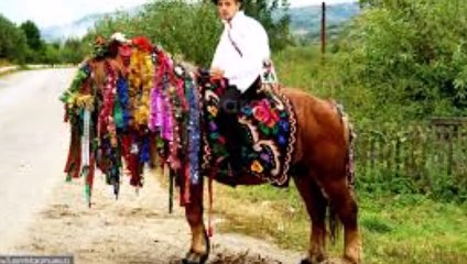 Puiu Nastase-Hai Catrina