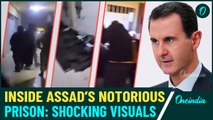 VIDEO: Inside Assad’s Sinister Jail Where Dictator Killed Prisoners| Horrifying Sednaya Jail Footage