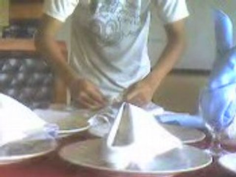 Napkin folding