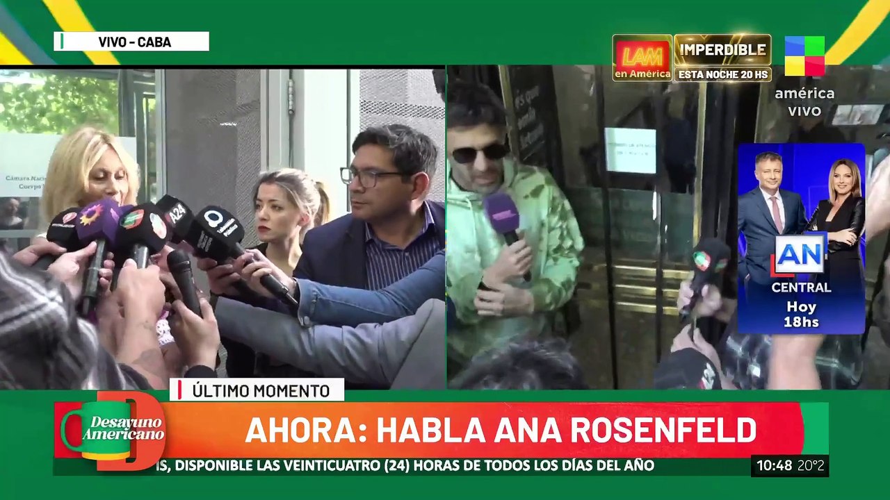 Ana Rosenfeld, abogada de Wanda Nara: "Mauro Icardi no está viendo a las nenas"