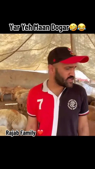 Man dogar funny vedio