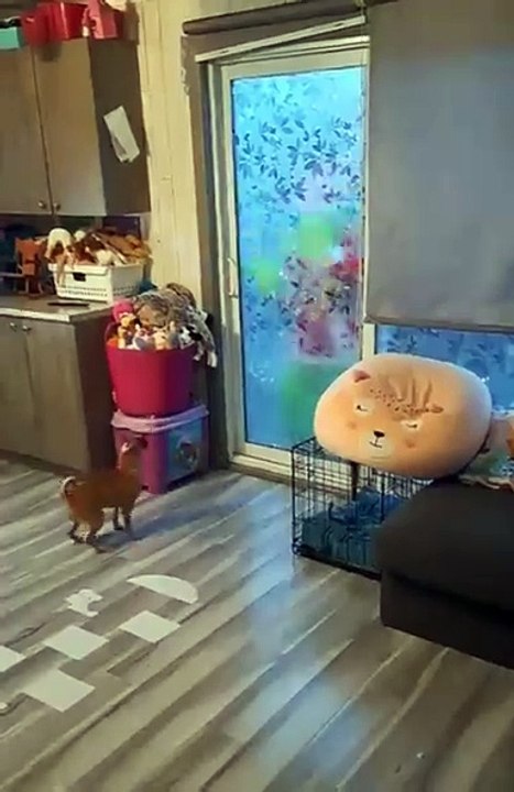 🎄🎅 Jingle Bells, Jingle Bells, Jingle All the Way! 🎶Jingle bells Christmas status | child's songs | jingle bells | happy Christmas | merry Christmas  #Christmasstatus #short #viral #video #funny #comady #kids #kidsvideo