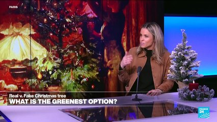 Real or fake Christmas tree: What is the greenest option?