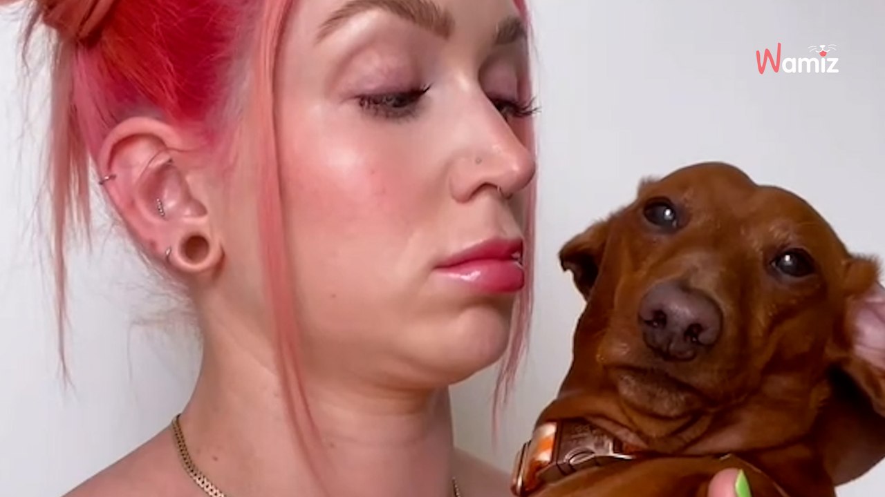 Frau adoptiert Hündin, doch der Tierarzt enthüllt eine genetische Sensation