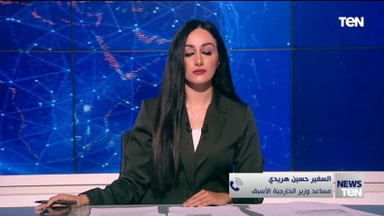 السفير حسين هريدي: من السابق لأوانه الحديث عن الأوضاع السياسية في سوريا