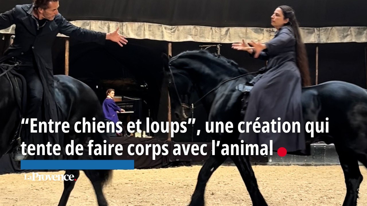 « Entre chiens et loups », une création qui tente de faire corps avec l’animal