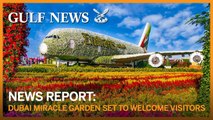 Flower power: Dubai Miracle Garden welcomes back visitors with 150 million flowers